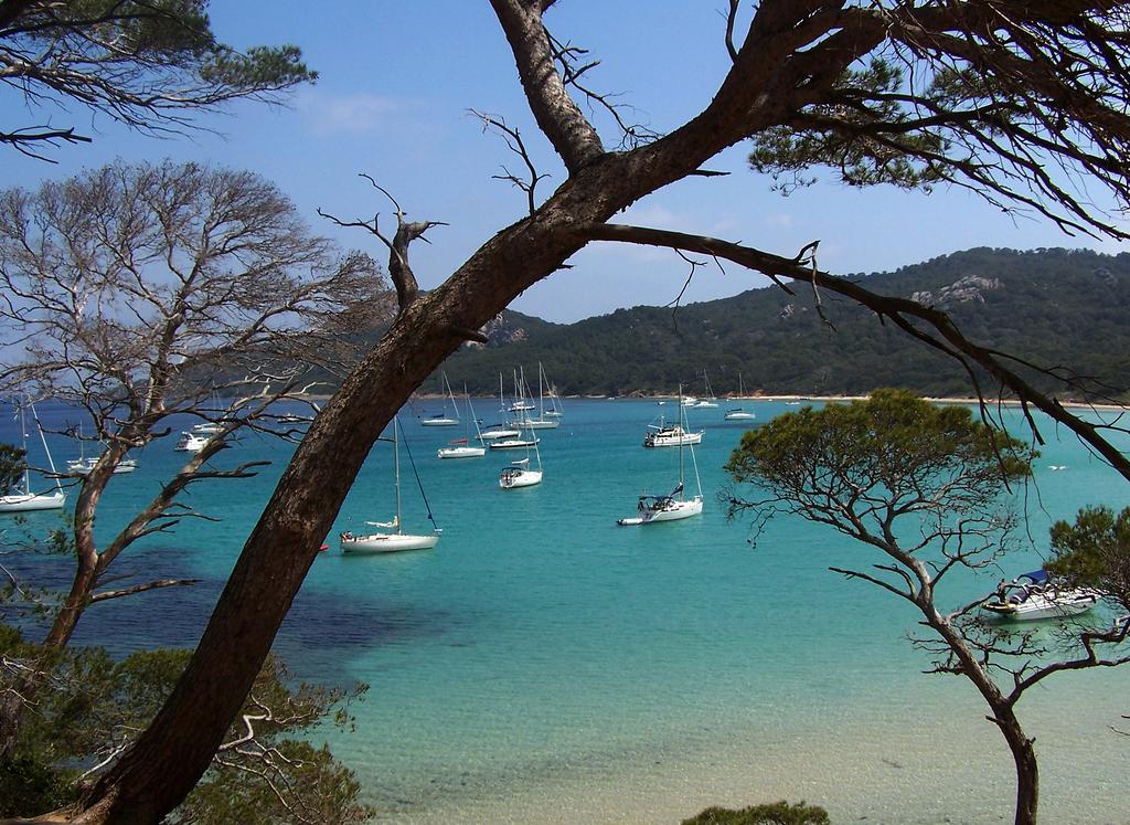 Le Cube Hotel Design A Hyeres Plage Avec Piscine Et Cuisine מראה חיצוני תמונה